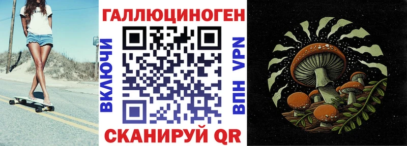 магазин продажи наркотиков  Кизляр  Галлюциногенные грибы GOLDEN TEACHER 